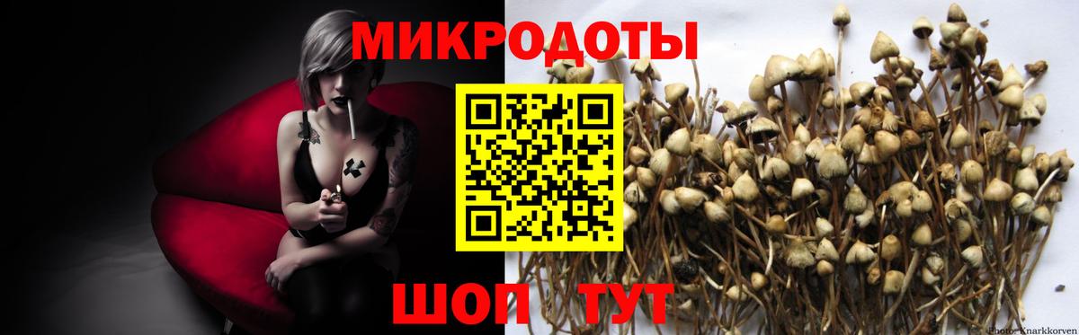 Псилоцибиновые грибы Psilocybine cubensis  Вход с VPN  Фрязино 